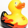 ducke101